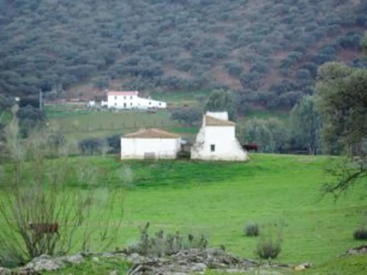 Charming House With Mountain View In Encinasola, Fireplace